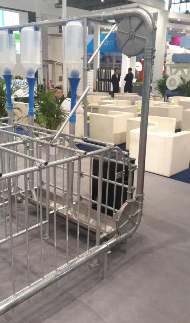 Automatic Pig Feeding System