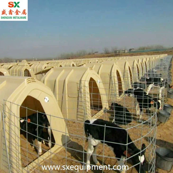 Cattle Farm Calf Hutch