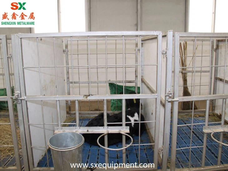 Cattle Farm Calf Hutch