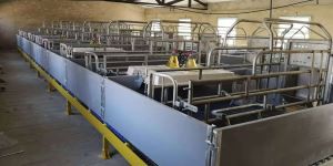 Pig Farm Farrowing ساخت جعبه استفاده از کف